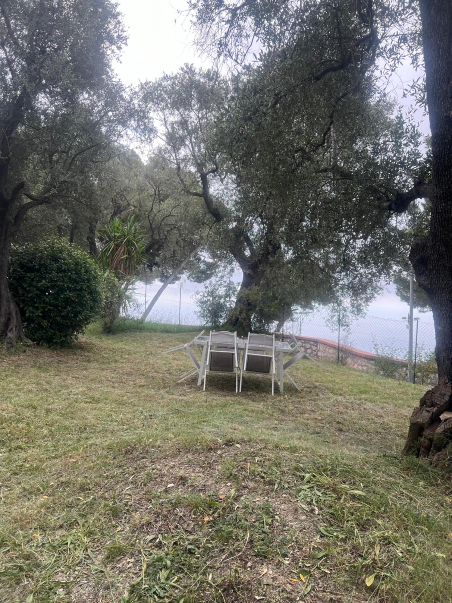 Bas De Villa Vue Mer Eze Village エクステリア 写真