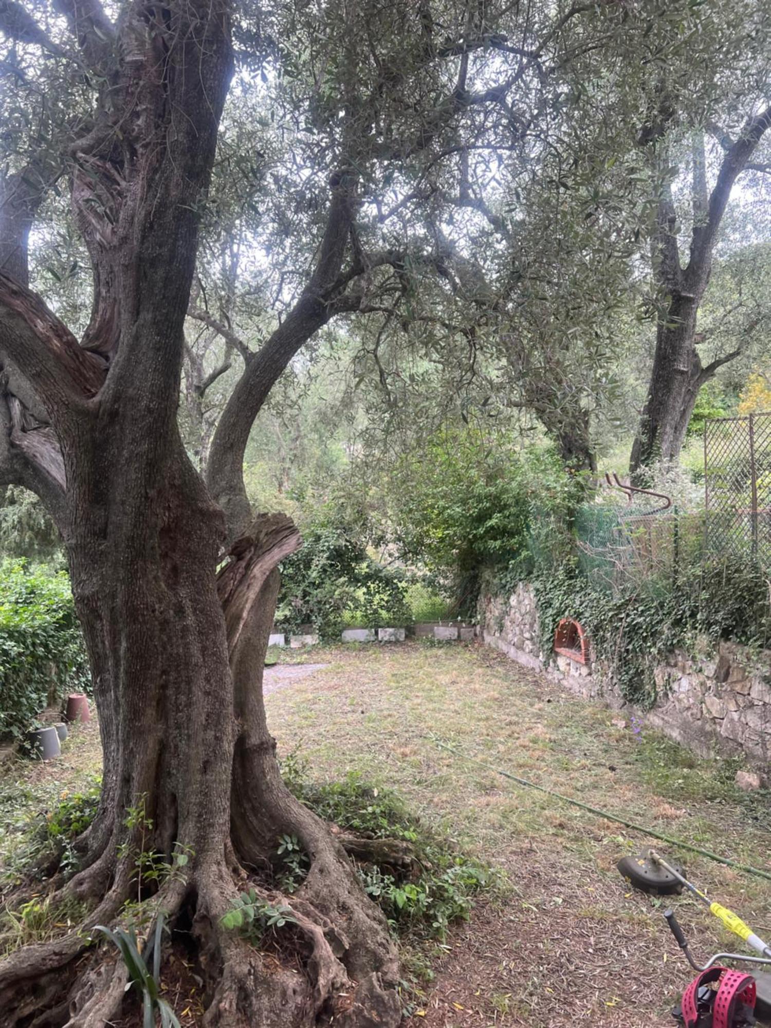 Bas De Villa Vue Mer Eze Village エクステリア 写真