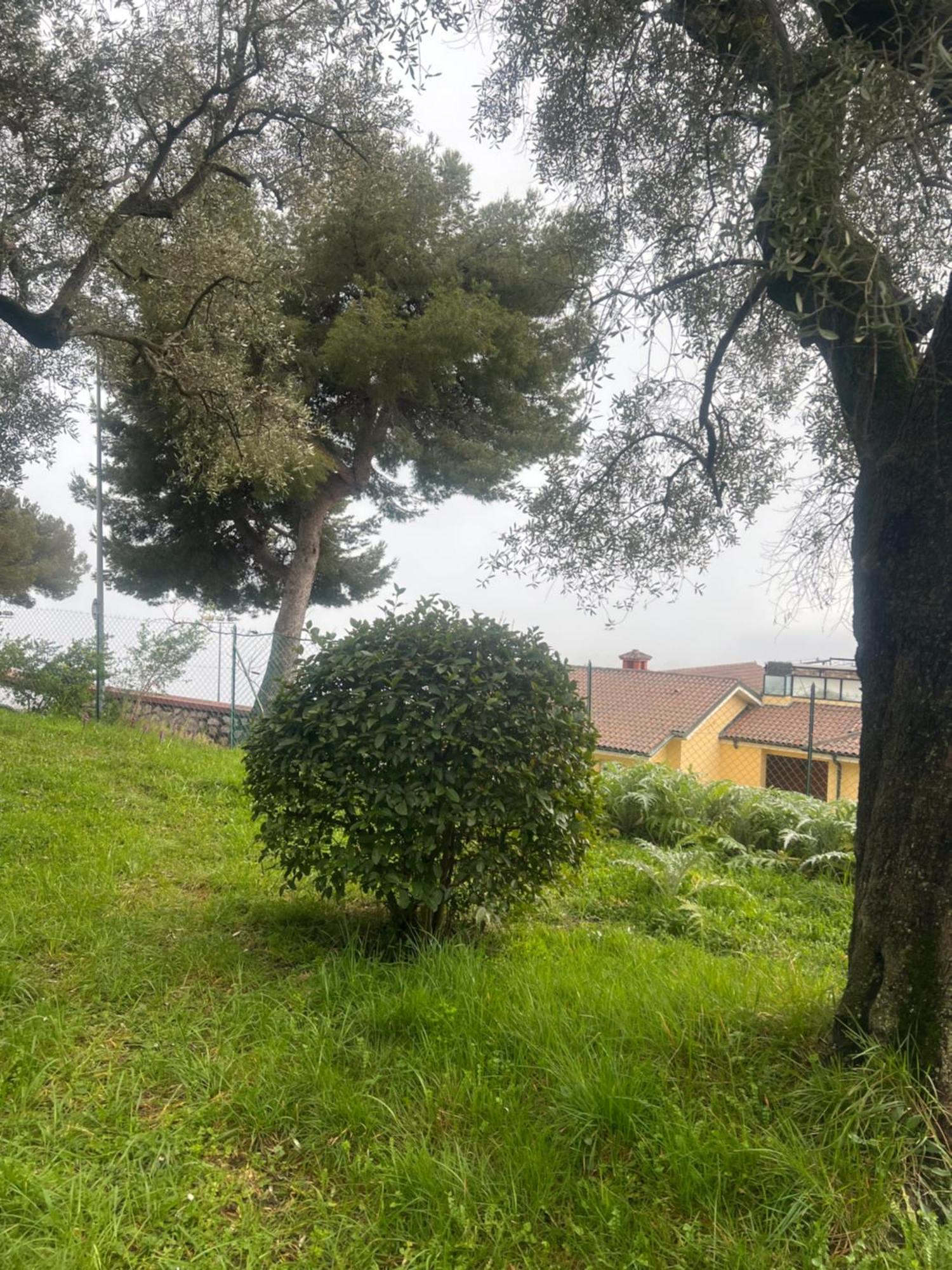 Bas De Villa Vue Mer Eze Village エクステリア 写真