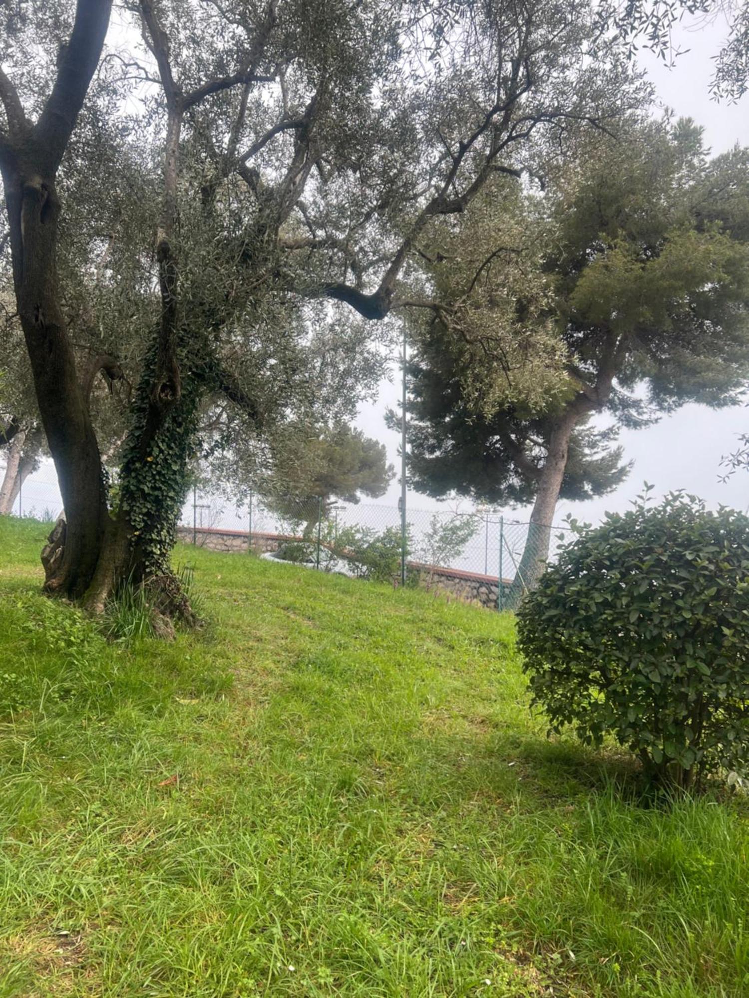 Bas De Villa Vue Mer Eze Village エクステリア 写真